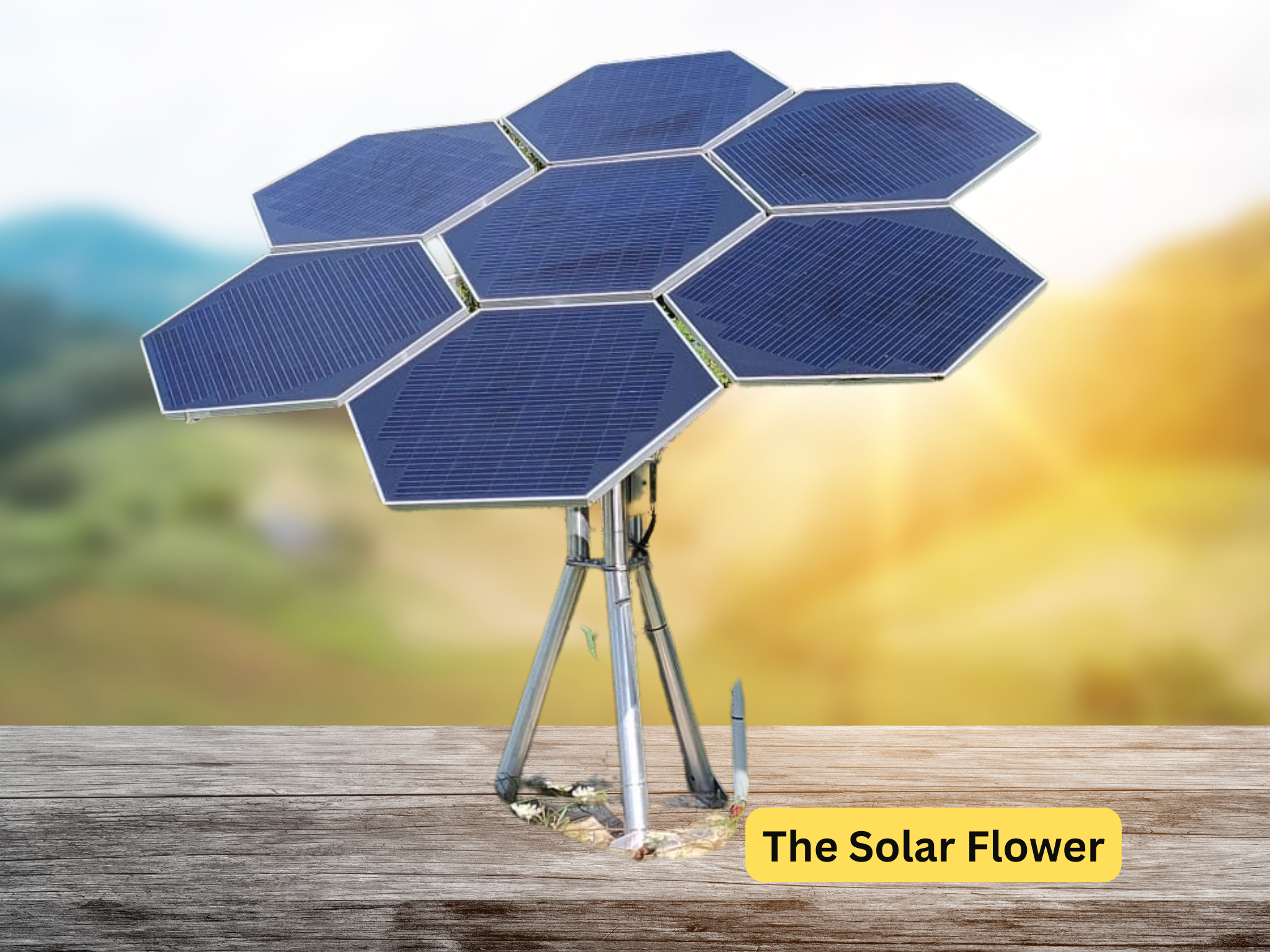 cabinsunplugged cabinsunplugged